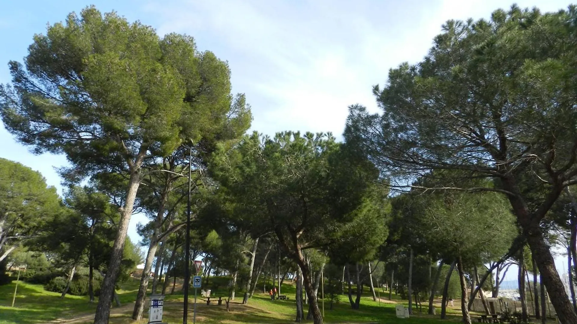 Appartamento Appartement Cosy Avec Terrasse, Proche Plage Et Commerces - Bormes-Les-Mimosas - Fr-1-251-785